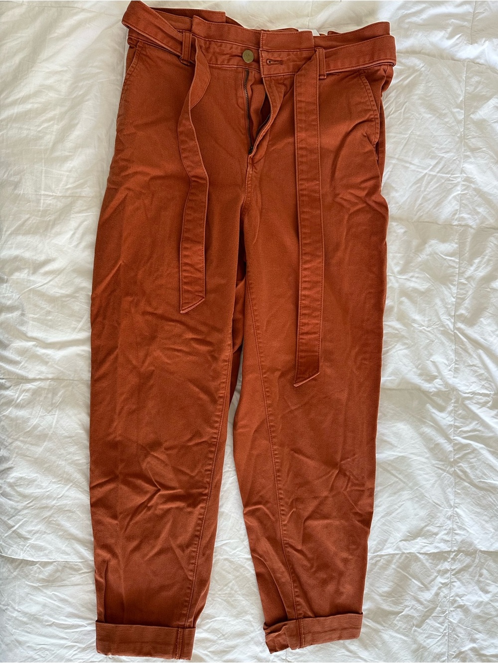 Banana Republic Women’s Barrel Pant in Rust Orange